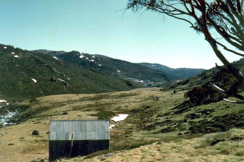 AAC 3-20 Pounds Creek Hut 1955
